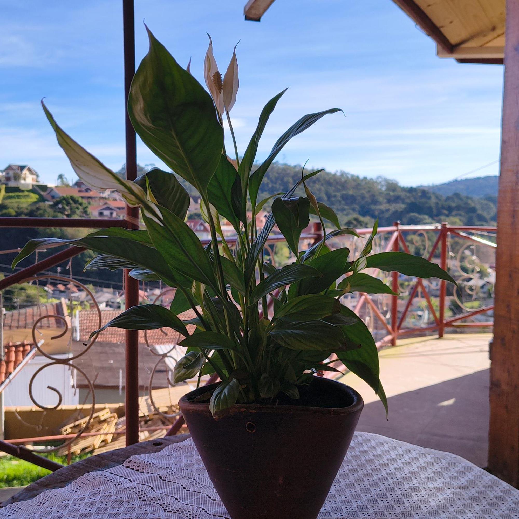 Suite Rustica Aconchego - Com Banheira De Hidromassagem Campos do Jordão 외부 사진
